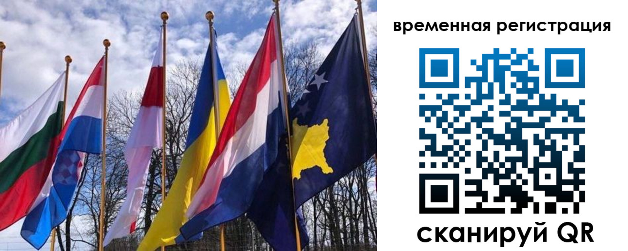 прописка гарантия в Сафоново